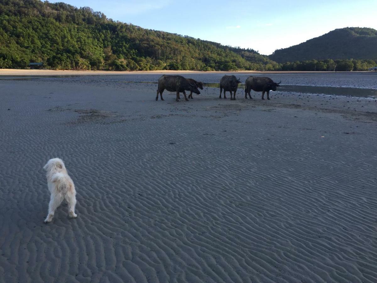 Dragon Pearl Beach Resort Kota Belud Екстериор снимка
